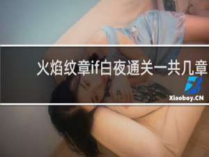 火焰纹章if白夜通关一共几章