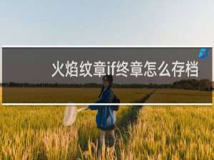 火焰纹章if终章怎么存档