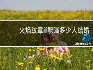 火焰纹章if能喝多少人结婚