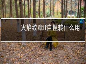火焰纹章if自捏转什么用