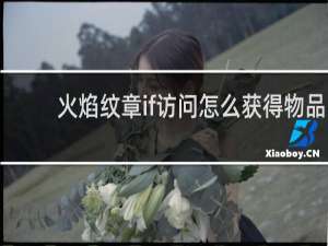 火焰纹章if访问怎么获得物品