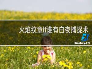 火焰纹章if谁有白夜捕捉术