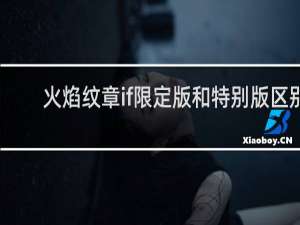 火焰纹章if限定版和特别版区别
