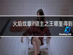 火焰纹章if领主之王哪里得到