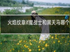 火焰纹章if魔战士和黑天马哪个强
