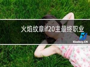 火焰纹章if 主最终职业