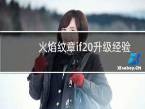 火焰纹章if 升级经验