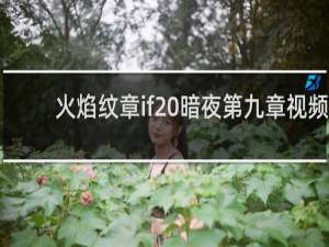 火焰纹章if 暗夜第九章视频
