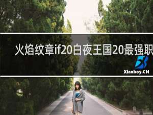 火焰纹章if 白夜王国 最强职业