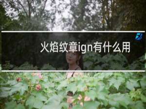 火焰纹章ign有什么用