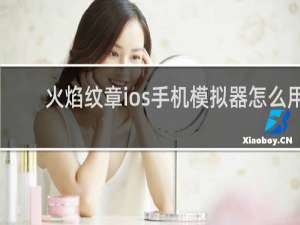 火焰纹章ios手机模拟器怎么用