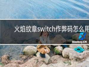 火焰纹章switch作弊码怎么用