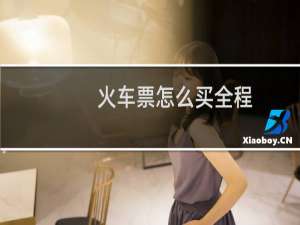 火车票怎么买全程