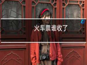 火车票谁收了