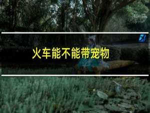 火车能不能带宠物