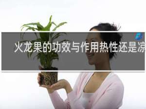 火龙果的功效与作用热性还是凉性