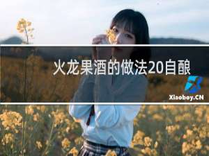 火龙果酒的做法 自酿