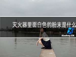 灭火器里面白色的粉末是什么