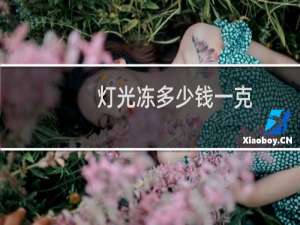 灯光冻多少钱一克