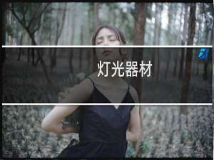 灯光器材