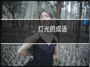 灯光的成语