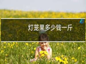 灯笼果多少钱一斤（灯笼果几月份成熟）