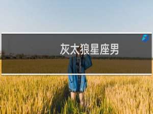 灰太狼星座男