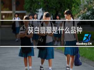 灰白翡翠是什么品种