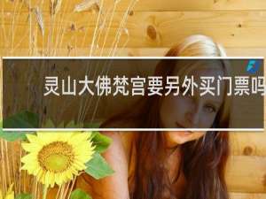 灵山大佛梵宫要另外买门票吗