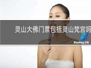 灵山大佛门票包括灵山梵宫吗