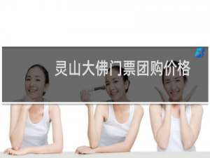 灵山大佛门票团购价格