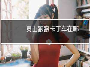 灵山跑跑卡丁车在哪