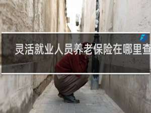 灵活就业人员养老保险在哪里查询