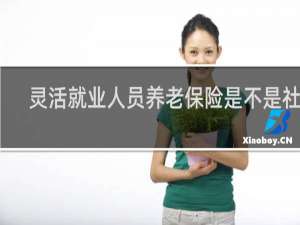 灵活就业人员养老保险是不是社保