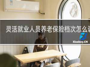 灵活就业人员养老保险档次怎么调整