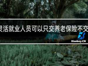 灵活就业人员可以只交养老保险不交医保吗