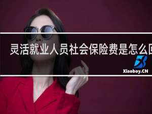 灵活就业人员社会保险费是怎么回事