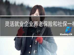 灵活就业企业养老保险和社保一样吗