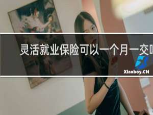 灵活就业保险可以一个月一交吗