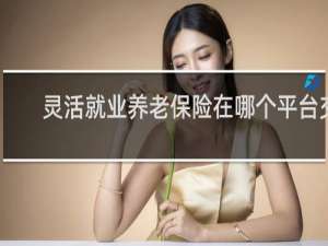 灵活就业养老保险在哪个平台交