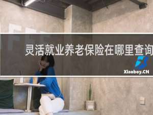 灵活就业养老保险在哪里查询