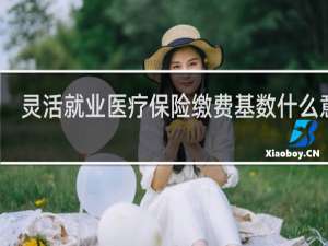 灵活就业医疗保险缴费基数什么意思