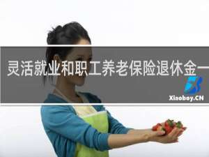 灵活就业和职工养老保险退休金一样吗