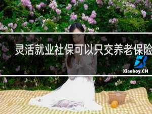 灵活就业社保可以只交养老保险吗