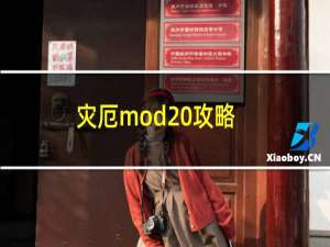 灾厄mod 攻略