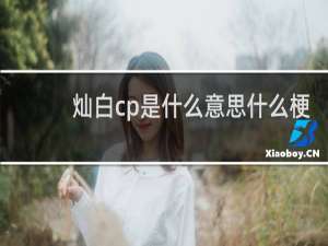 灿白cp是什么意思什么梗