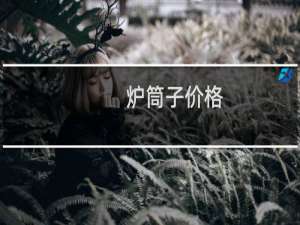 炉筒子价格