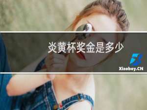 炎黄杯奖金是多少