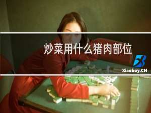 炒菜用什么猪肉部位
