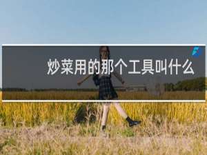 炒菜用的那个工具叫什么